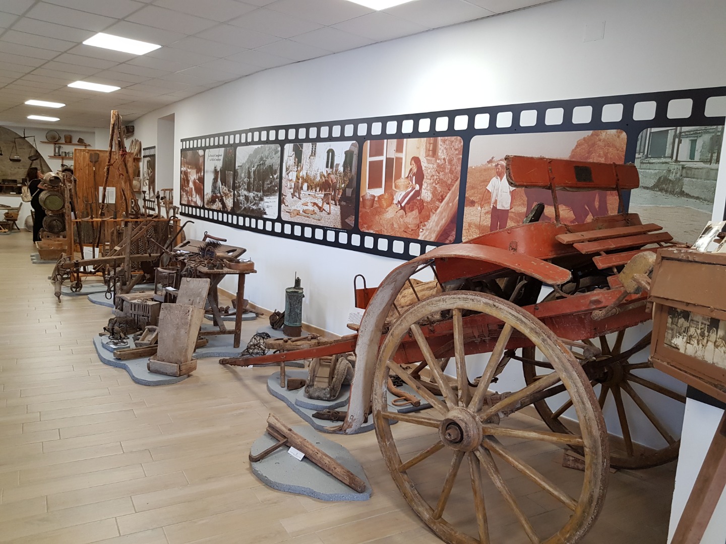 Museo